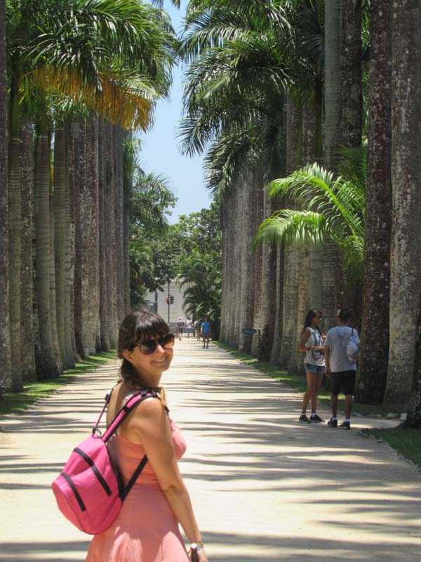 Árvores no Jardim Botânico da cidade do Rio de Janeiro