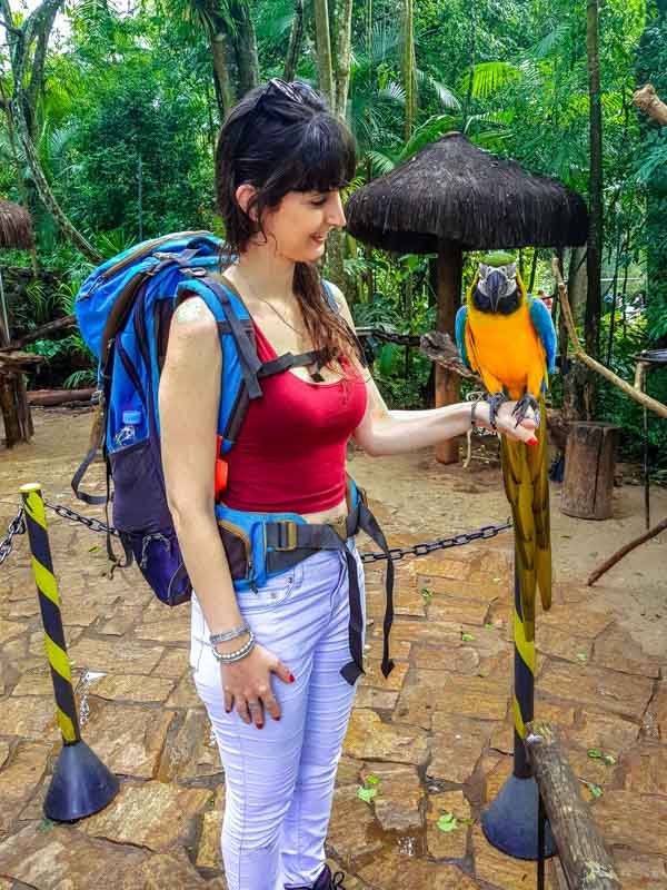 O que fazer em Foz do Iguaçu Parque das Aves